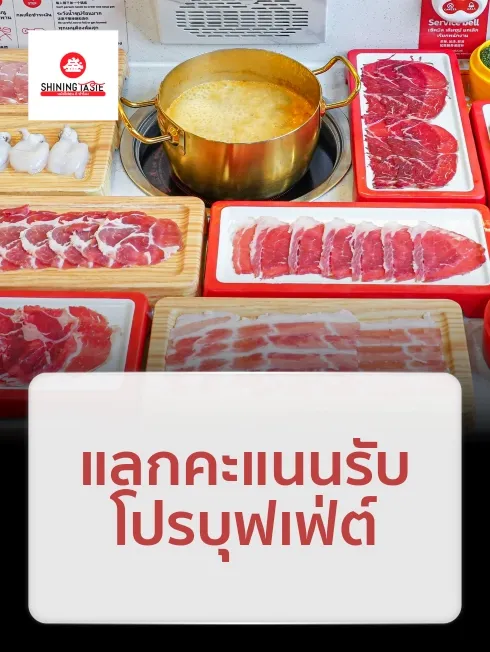 ชายน์นิ่ง เทสต์